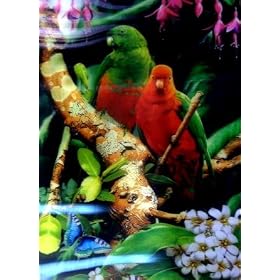 Parrots and Cats 3D Picture, A 3D Lenticular Parrot Wall Art Ready To Frame, 34.5 x 24.5 cm