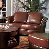 Fairbanks Leather Love Seat By Coaster Furniture With Silver Shipping