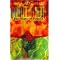 2006 ALA Best Books for Young Adults (Fiction, Part 1)