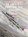 US Navy F-4 Phantom II MiG Killers 1971-73: Part 2 (Osprey Combat Aircraft)