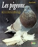 Les pigeons : races, soins, �levage