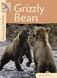 Grizzly Bears (Returning Wildlife)