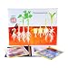American Educational Germination Model Activity Set