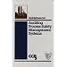 Guidelines for Auditing Process Safety Management Systems