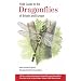 Field Guide to the Dragonflies of Britain and Europe