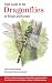 Field Guide to the Dragonflies of Britain and Europe