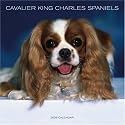 Cavalier King Charles Spaniels 2008 Square Wall: Wall