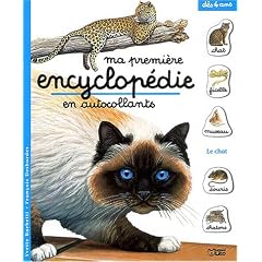Le chat