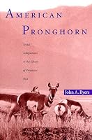 American Pronghorn: Social Adaptations and the Ghosts of Predators Past