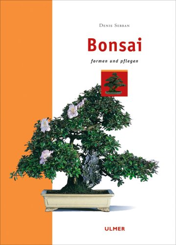 Ulmer (Eugen) Bonsai