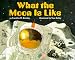 Books : What the Moon Is Like (Let's-Read-and-Find-Out Science 2)