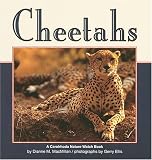 Cheetahs (Nature Watch)