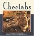 Cheetahs (Nature Watch) by Dianne M. MacMillan ISBN 1575050447