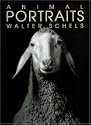Animal portraits