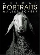 Animal portraits