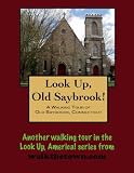 A Walking Tour of Old Saybrook, Connecticut (Look Up, America!)