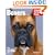 Boxers (Complete Pet Owner's Manual)