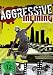 Aggresiv Inlining (NTSC)