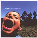 Songs To Scream At The Sun