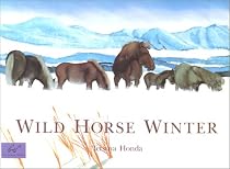 Wild Horse Winter