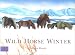 Search : Wild Horse Winter