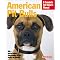 America pit bull terriers
