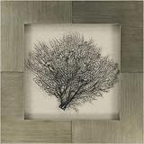 IMAGE OF Coral Branch by Unknown Platinum Art - 24