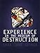 Experience in the Medium of Destruction