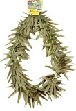 Adult's Marijuana Costume Lei