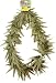 Adult's Marijuana Costume Lei