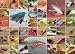 Flies Jigsaw Puzzle 1000 Piece