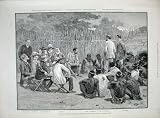 1890 SWAZI QUEEN TRANSVAAL ALPHEN ESSELEN BADEN-POWELL