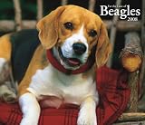 Beagles, For the Love of 2008 Deluxe Wall Calendar