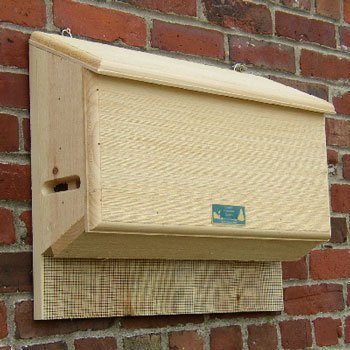 Large Bat House Plans