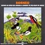 Borneo/Journey To The Heart