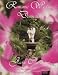 Romantic Wedding Destinations: Guide to Wedding & Honeymoons Getaways Around the World by Jackie Carrington