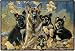 German Shepherd Family Dog Indoor/ Outdoor Doormat Rug Mat