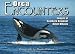 Orca Encounters