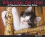 Why Cats Do That