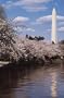 Anything Book, Washington, D.C.: Washington Monument (Anything Book D.C. Series)
