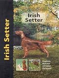 Irish Setter (Pet love)