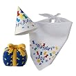 Birthday Pawty Birthday Box