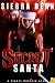 Books : Secret Santa: A Secret McQueen story