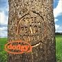 Free Peace Sweet