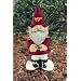 Virginia Tech Garden Gnome