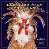 Extraordinary Chickens 2012 Wall Calendar
