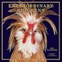 Extraordinary Chickens 2012 Wall Calendar
