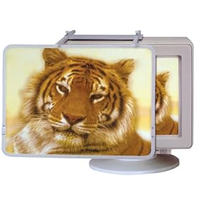 Computer Screen Magnifier