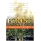 PZB's February '06 Reads