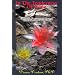 In the Tenderness of Stone: Liberating Consciousness through the Awakening of the Heart